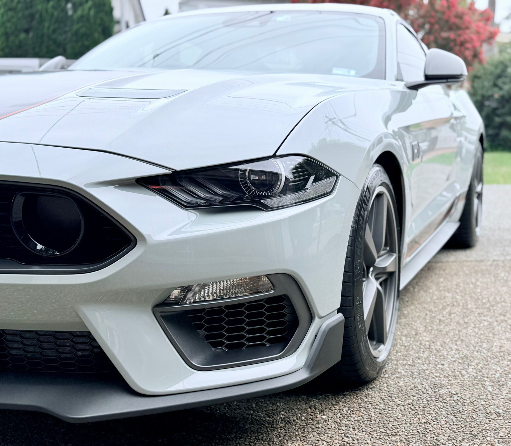 Grey Ford Mustang front end on a driveway after a detail