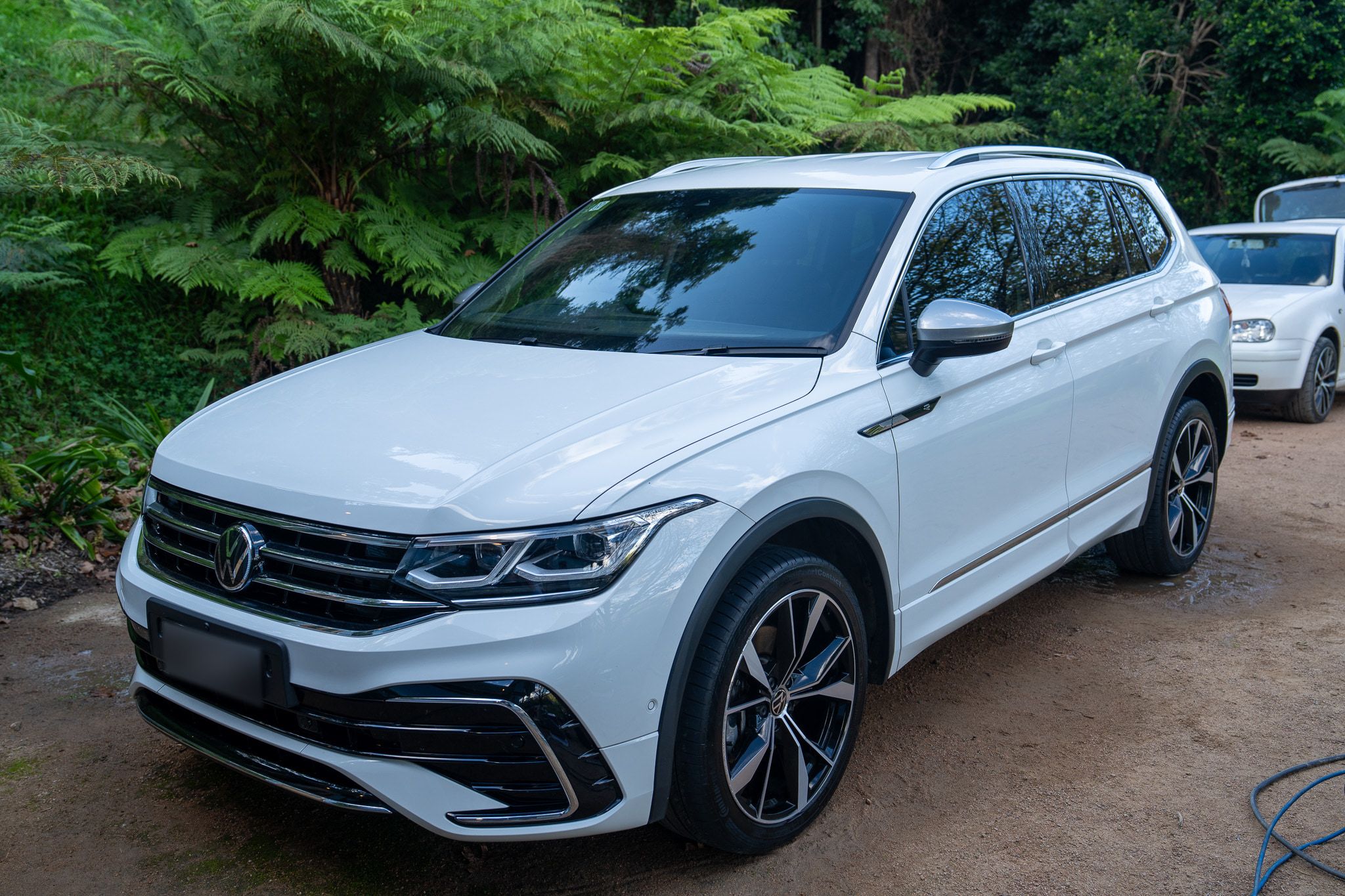 White Volkswagen Tiguan after a detail, parked among tree ferns